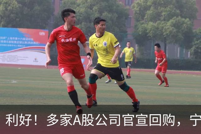 利好！多家A股公司官宣回购，宁德时代单日买入8亿元