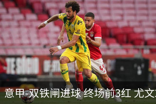 意甲-双铁闸进球 终场前3红 尤文2球落后2-2战平